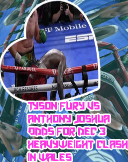 Odds of wilder fury fight